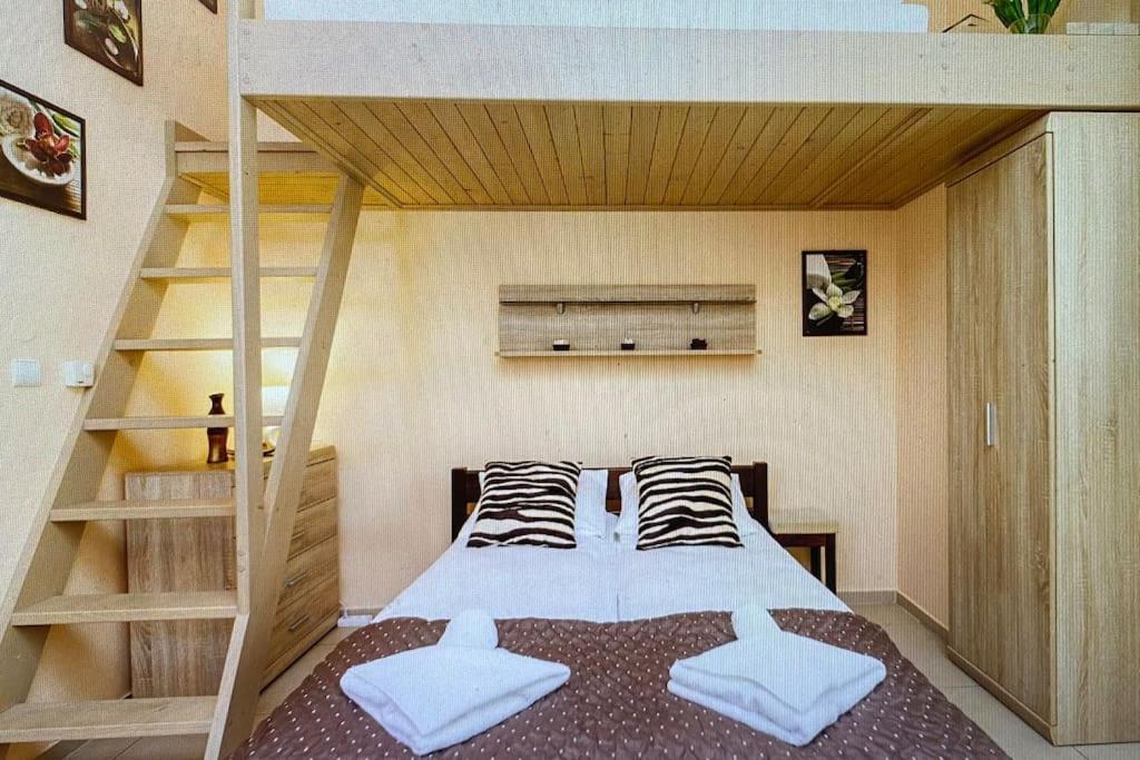 זקופאנה Apartament 7 Minut Od Krupowek Na Nogach! מראה חיצוני תמונה